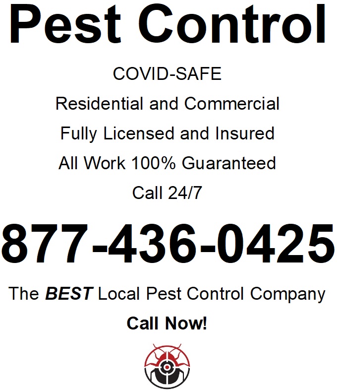 Every Pest Control - Pest Control